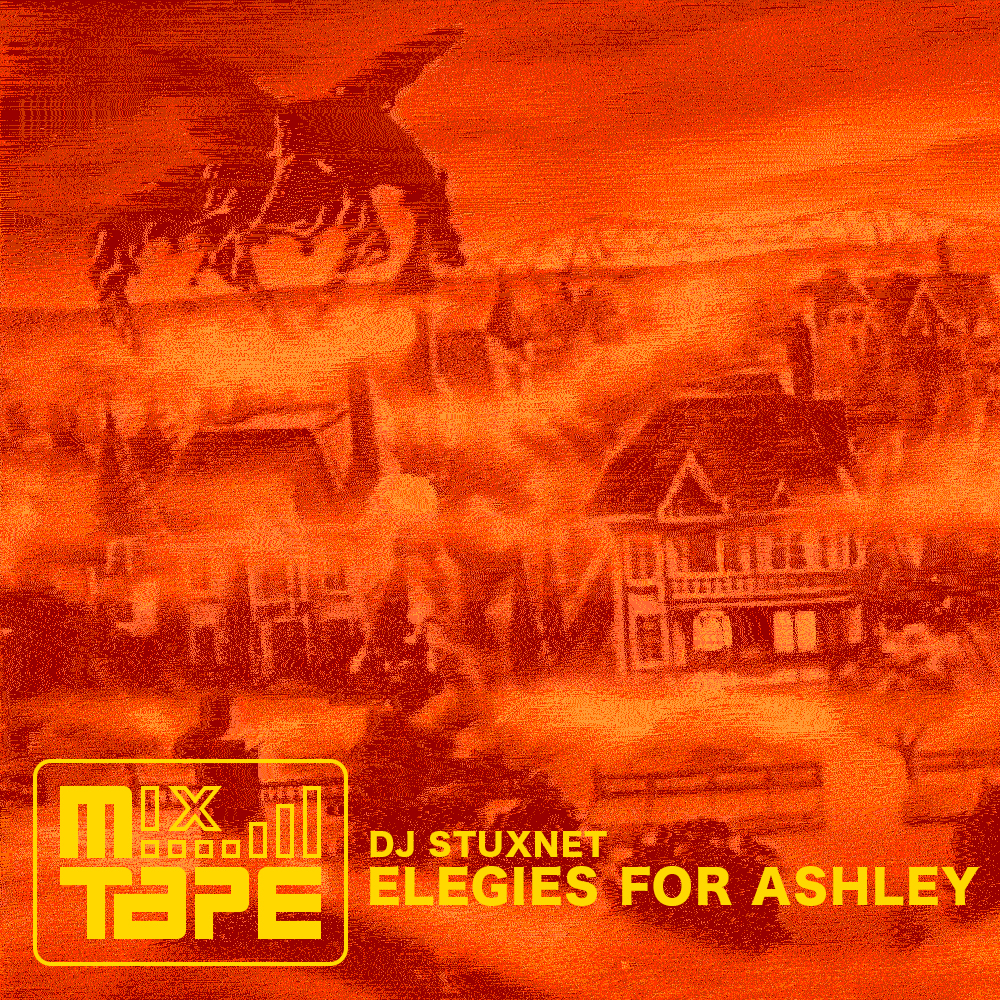 ELEGIES FOR ASHLEY
